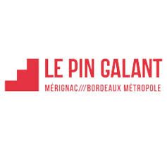 Le pin galant